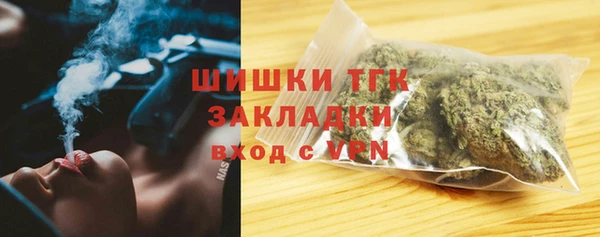 дживик Няндома