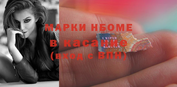 дживик Няндома