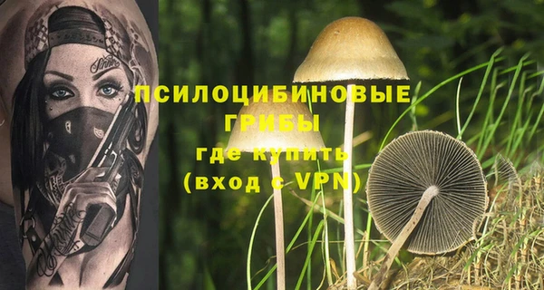 эйфоретик Нягань