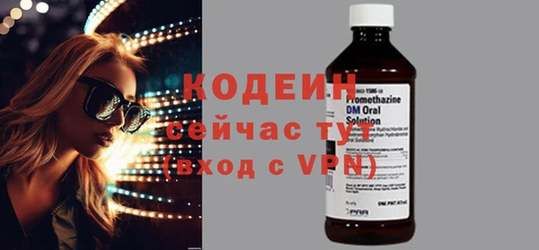 дживик Няндома