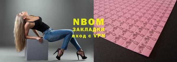 дживик Няндома