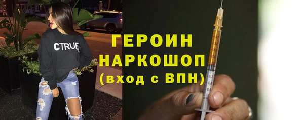 дживик Няндома