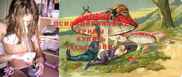mdpv Новозыбков