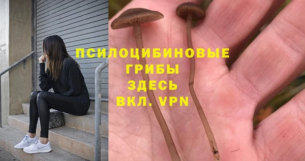 трава Нязепетровск