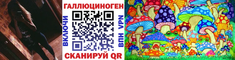 где купить наркотик  Костомукша  Псилоцибиновые грибы Psilocybine cubensis 
