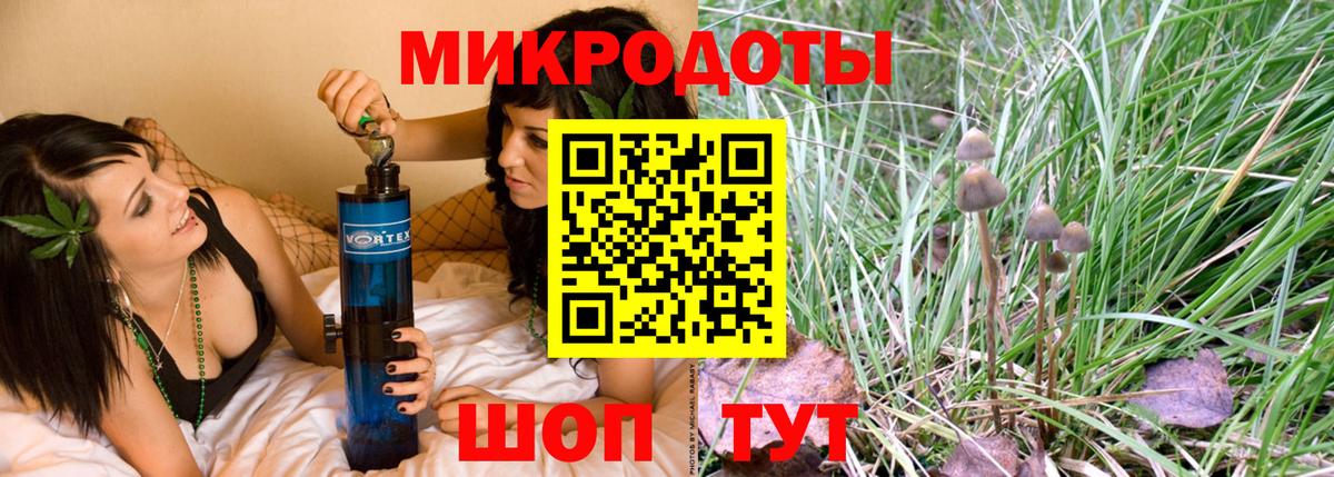Псилоцибиновые грибы Psilocybine cubensis Костомукша